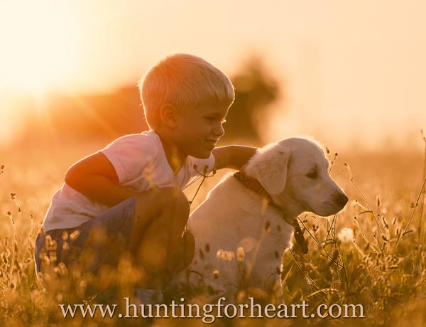 Boy and retriever pup at sunset