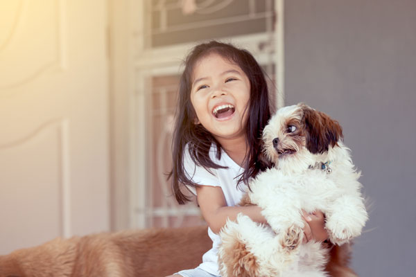 Dogs biting kids: this Shih Tzu is NOT happy being held tightly