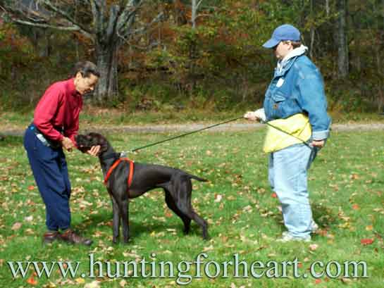 Author Ellen Landauer - Natural Dog Training helps dogs open up emotionally